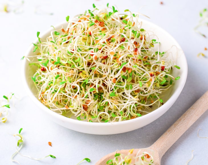 fresh-sprouts-from-alfalfa-sprouting-seeds-min