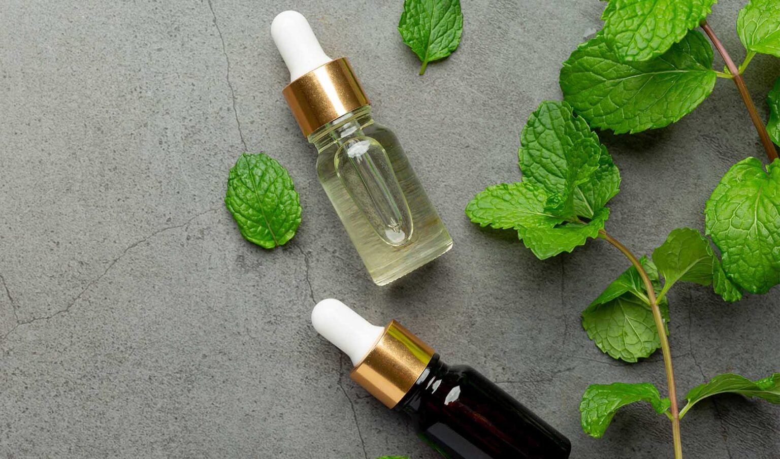 Peppermint Vs Spearmint What S The Difference Healthy Blog