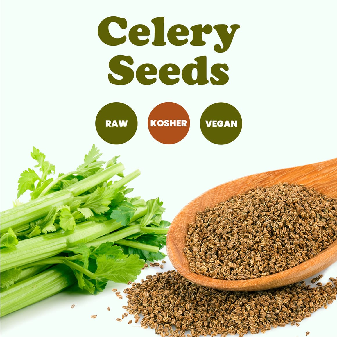 Celery Seeds info 1