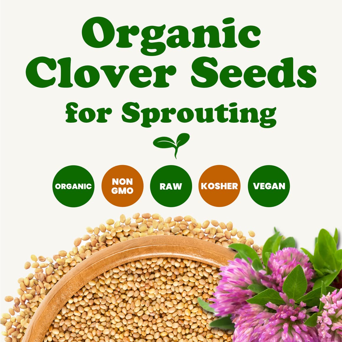 Organic Clover Seeds for Sprouting 1
