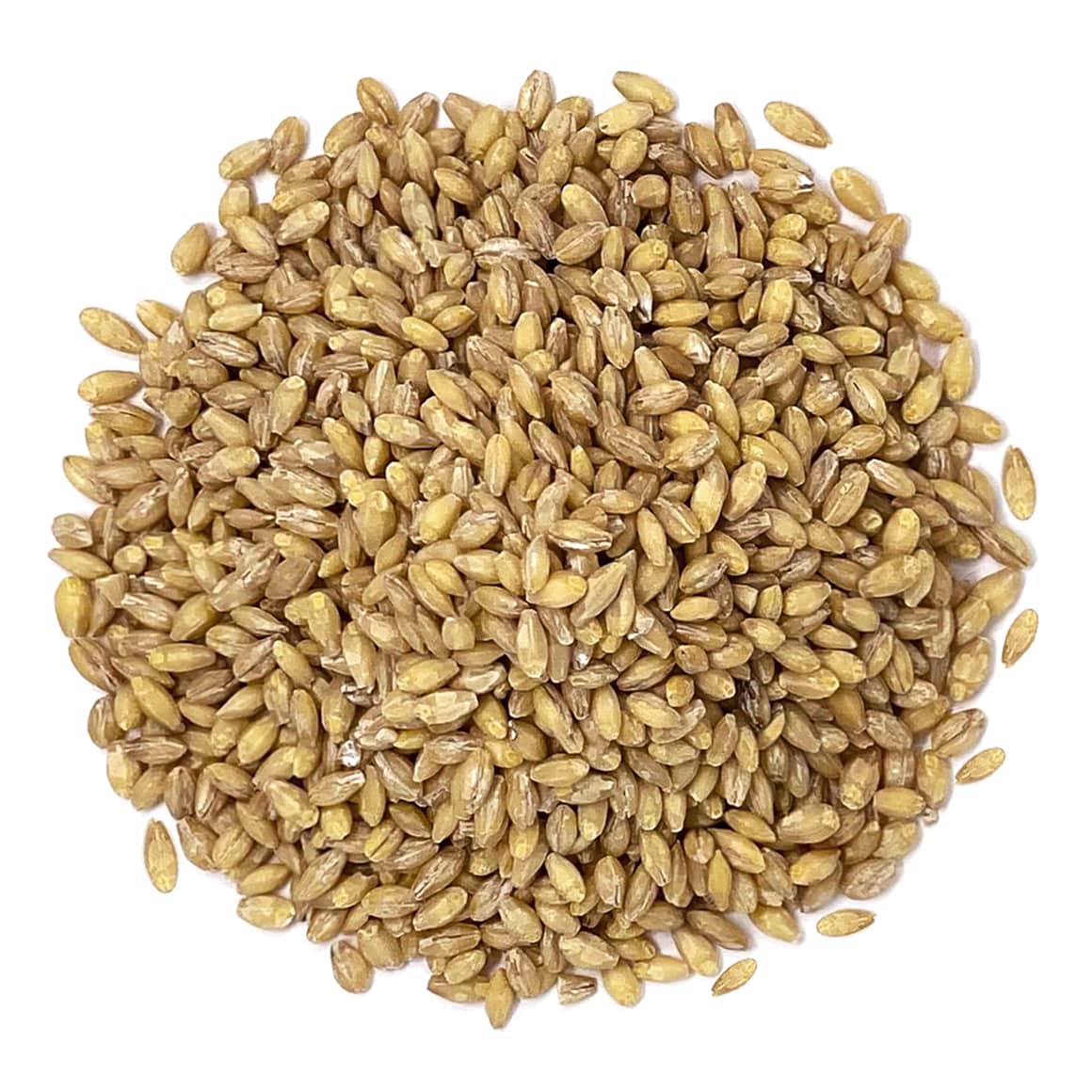 organic-hulled-barley-main-min