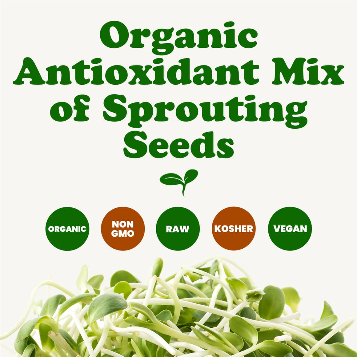 organic-antioxidant-mix-of-sprouting-seeds-2-min