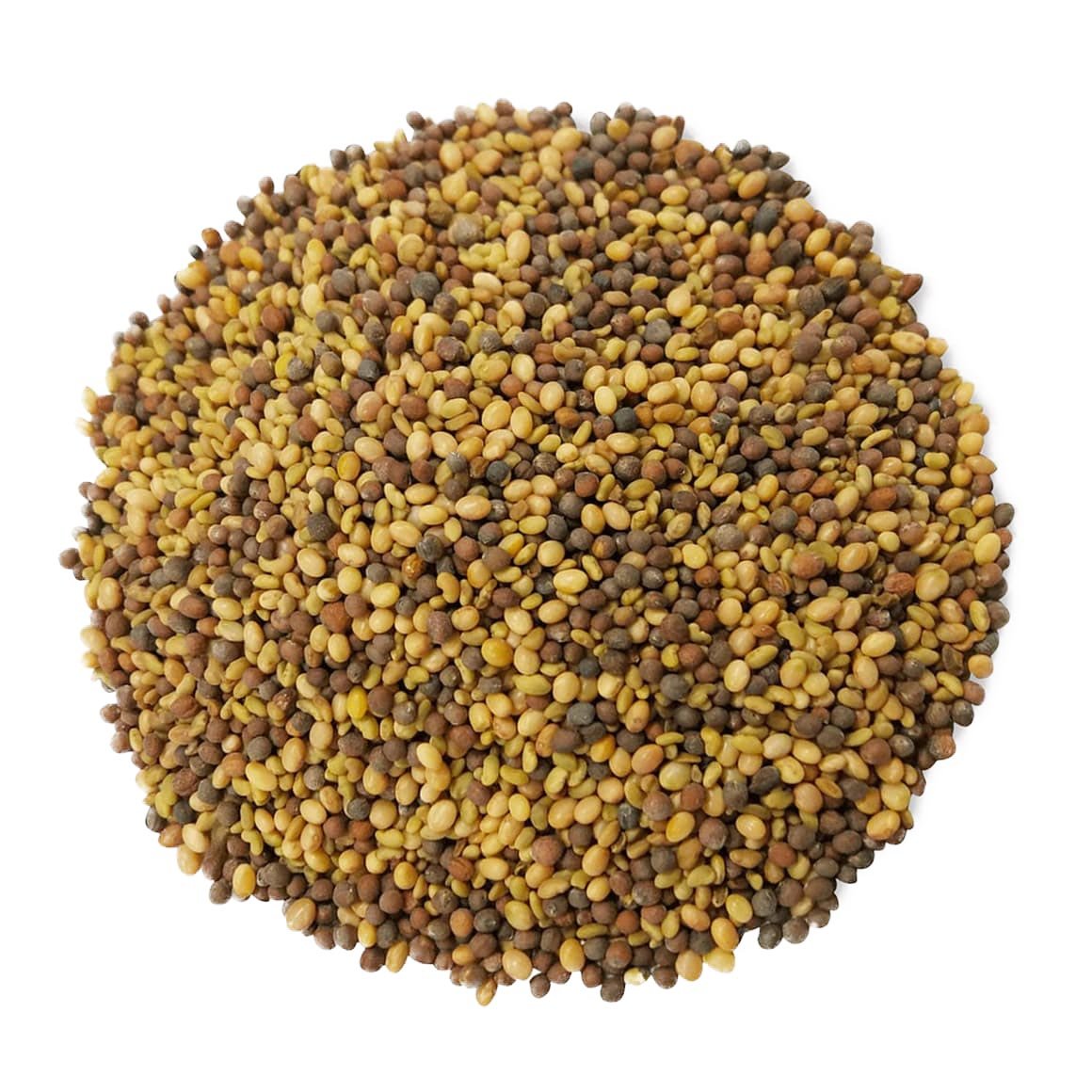 organic-antioxidant-mix-of-sprouting-seeds-main-min-upd