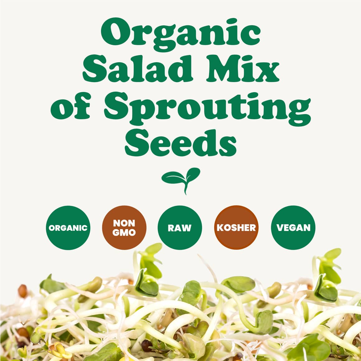 organic-salad-mix-of-sprouting-seeds-2-min