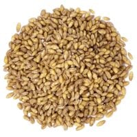 hulled-barley-main-min