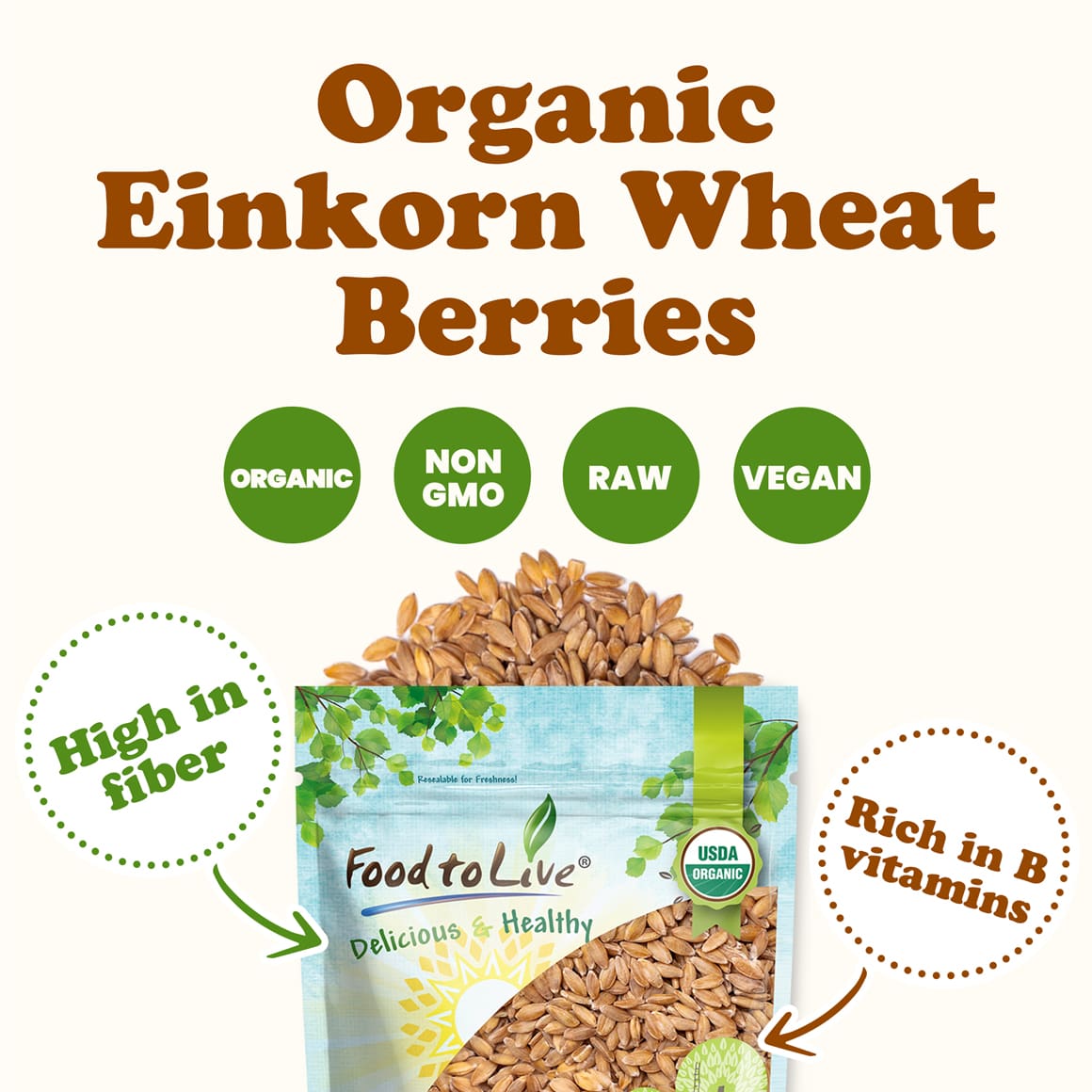 organic-einkorn-wheat-berries-2-min