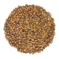 1-spicy-mix-of-sprouting-seeds-main-min