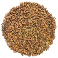 Spicy Sprouting Seeds Mix