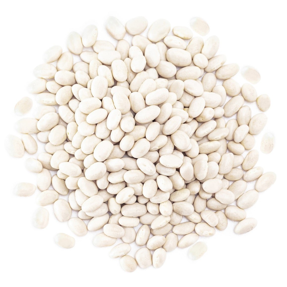 organic-navy-beans-main-min