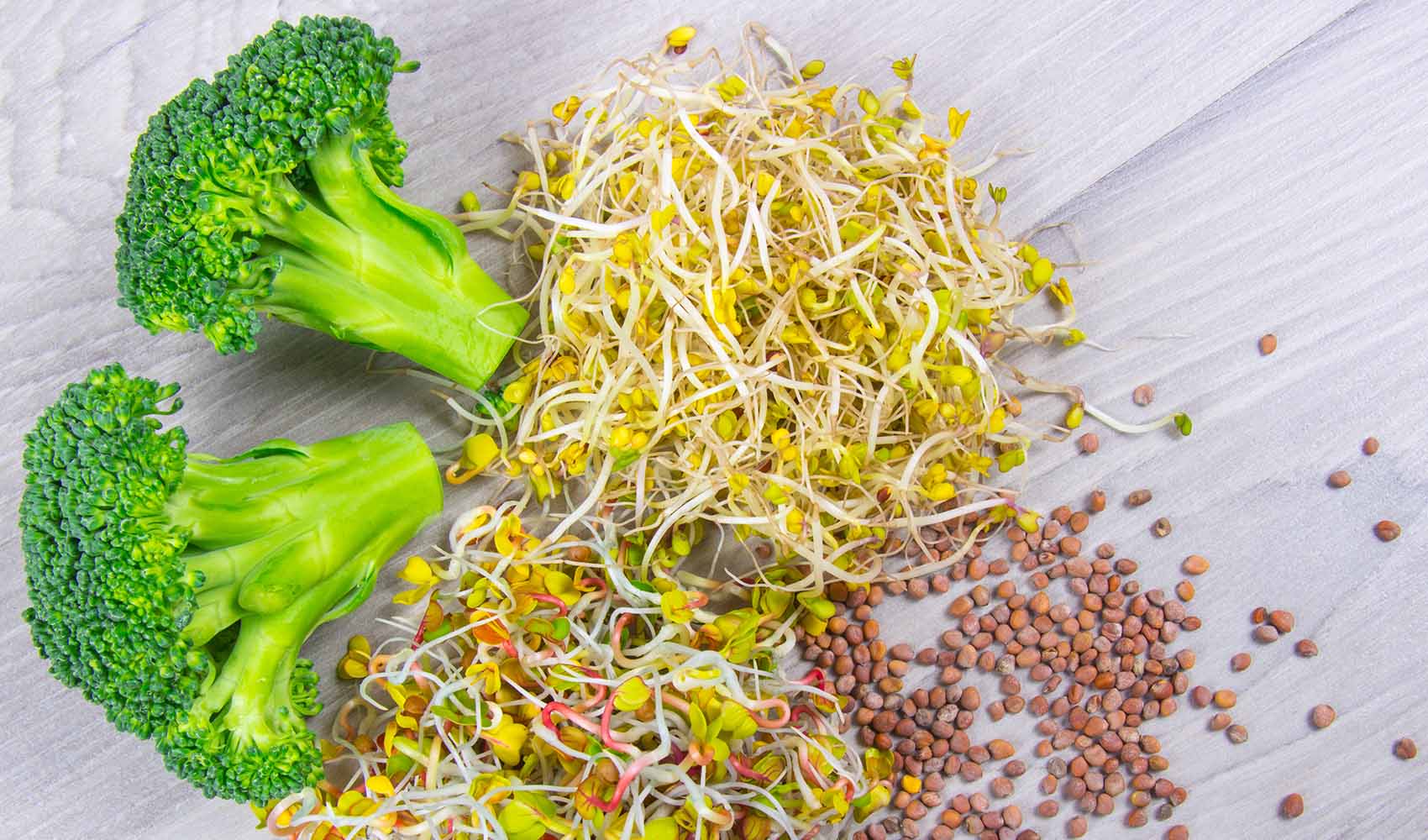 broccoli-sprouts-uses-2
