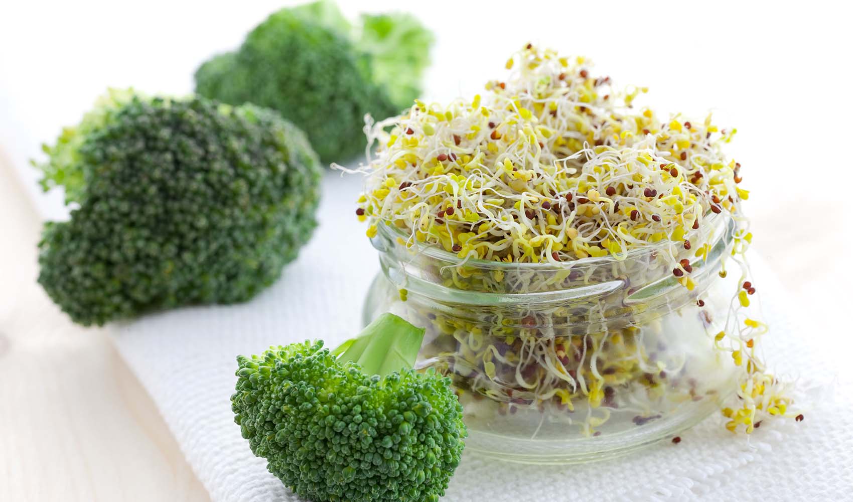 broccoli-sprouts-uses-3