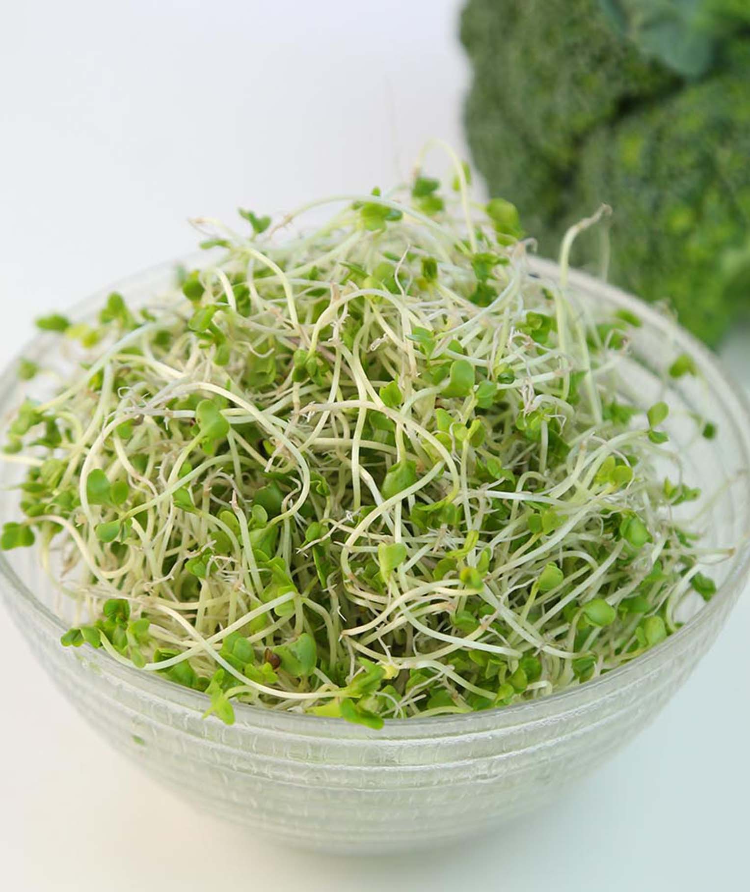 Broccoli Sprouts: Uses, Side Effects, Mechanism of Action