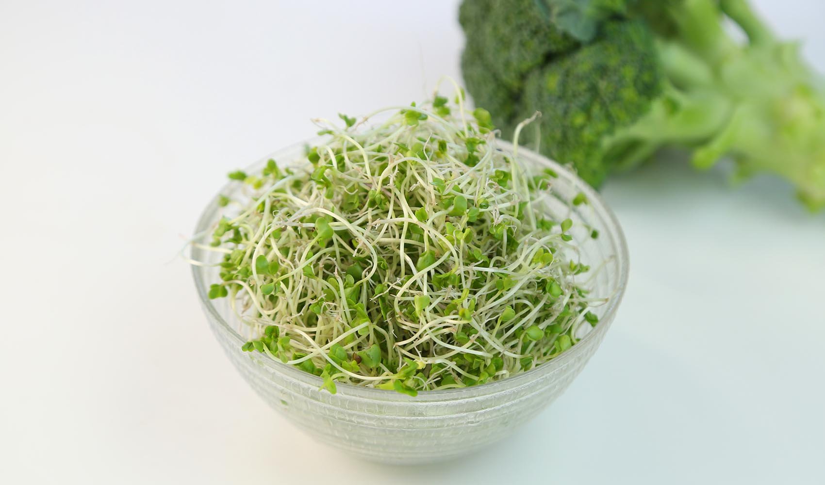 broccoli-sprouts-uses