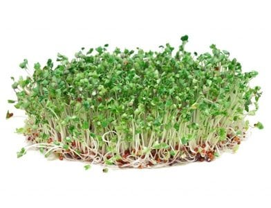 Broccoli Sprouts: Uses, Side Effects, Mechanism of Action