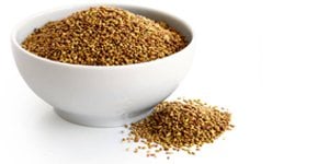 Organic Alfalfa Seeds for Sprouting