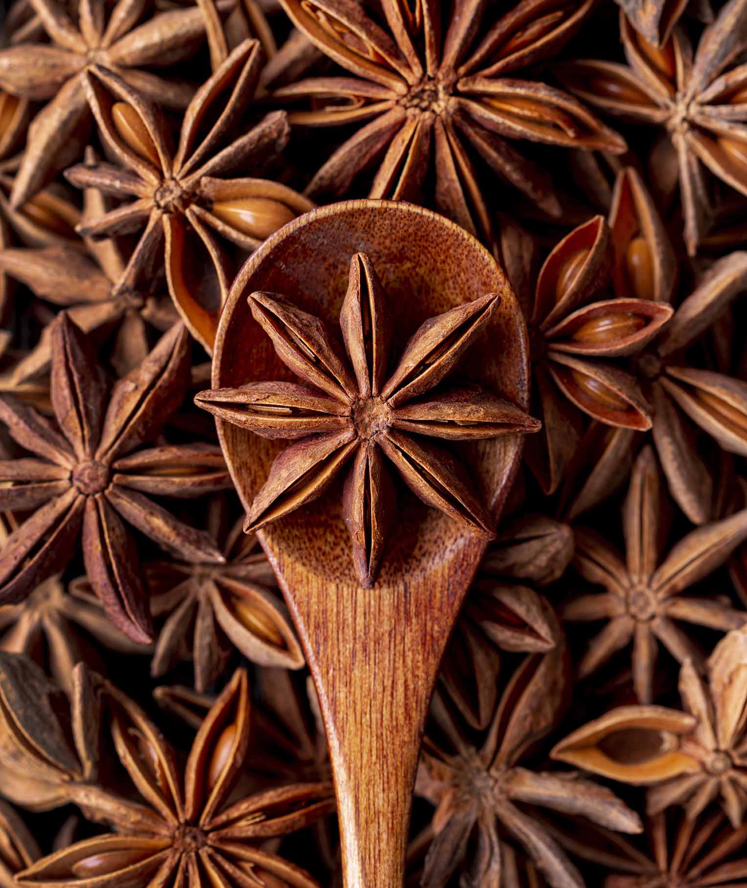 Anise Seeds: An Aromatic Medicine or Mere Spice