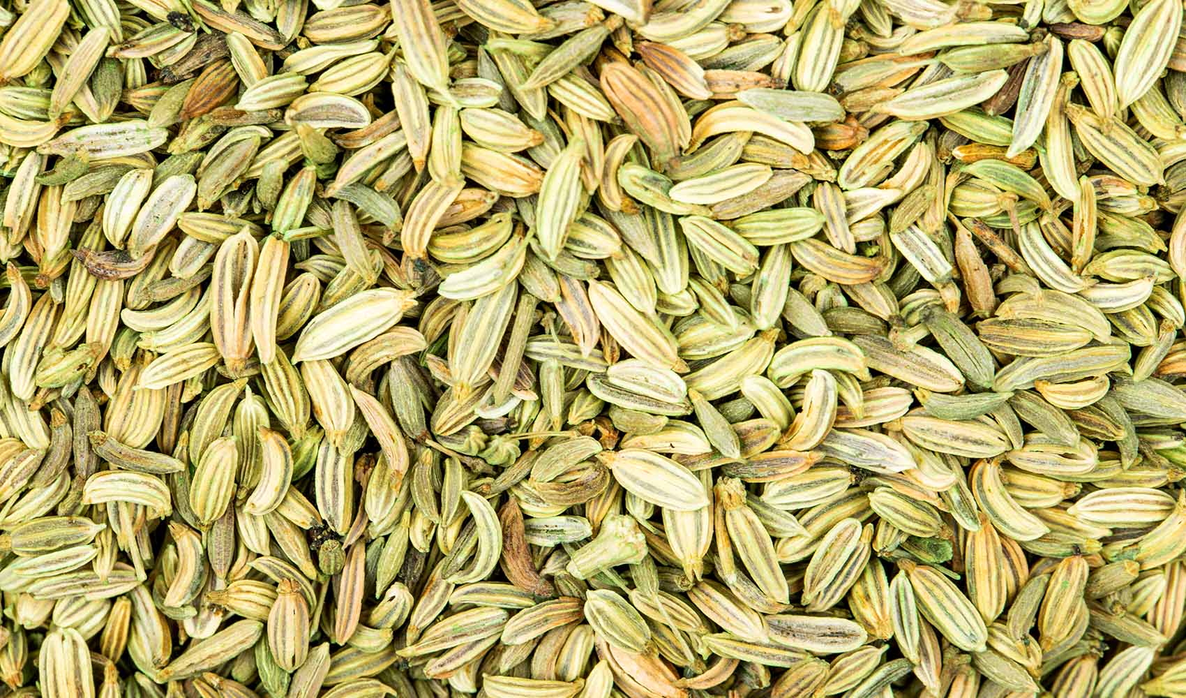 Anise-Seeds-An-Aromatic-Medicine-or-Mere-Spice-preview-4