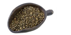 French Lentils: a Source of Fiber and Protein