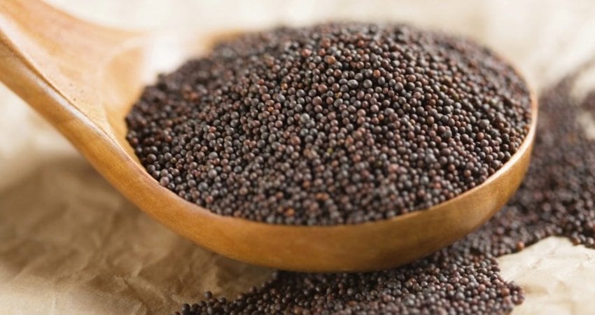Other Uses of Mustard Seeds