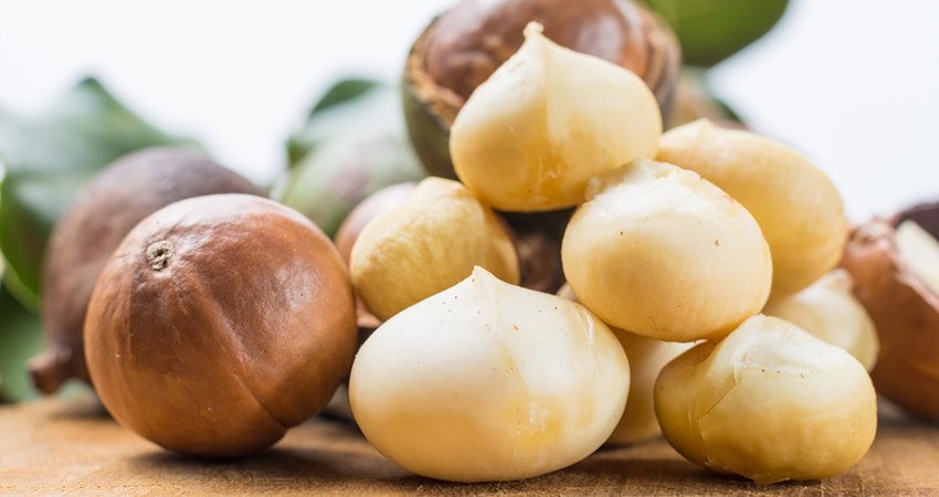 Are Macadamia Nuts Heathy?