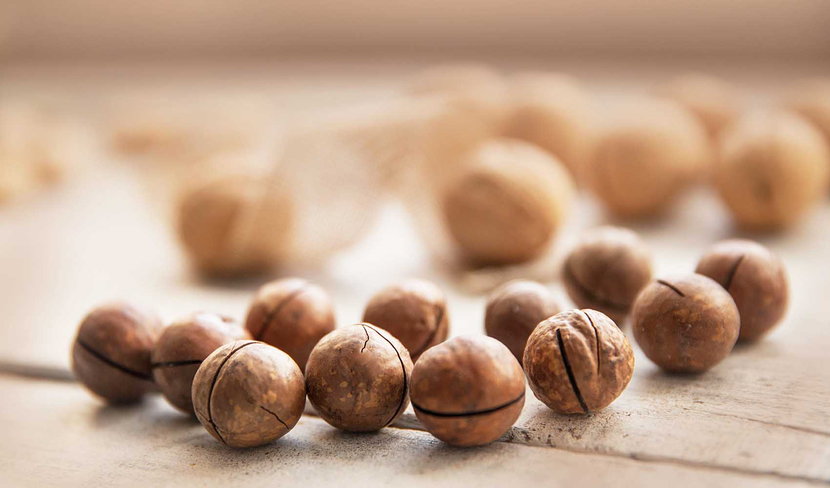 Macadamia-Nuts-Nutrition-Facts-and-Health-Benefits-4