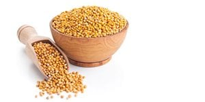 Yellow Mustard Seeds, Non-GMO Verified
