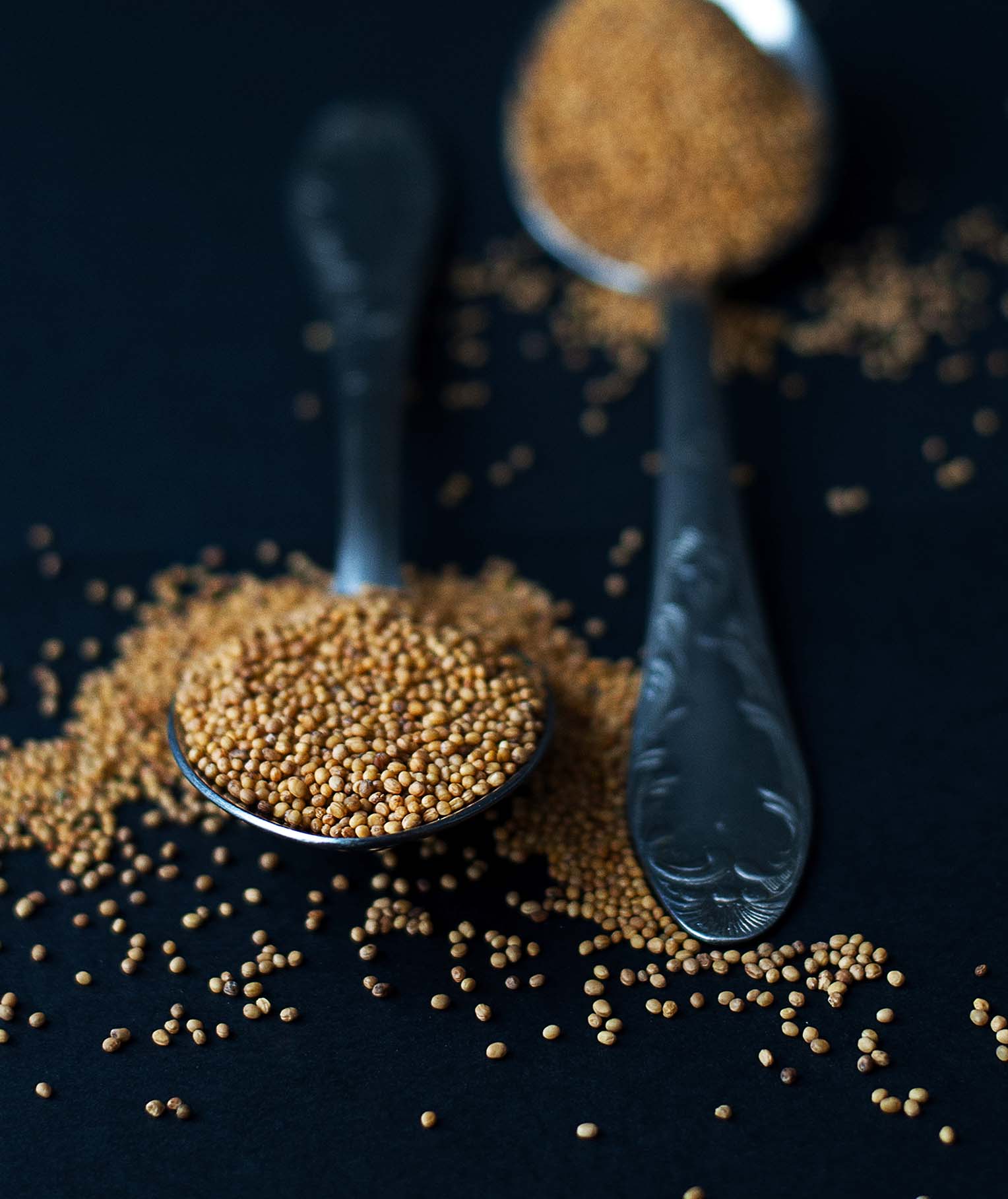 Mustard Seed Health Benefits and Uses: A Healthy Addition to Your Pantry