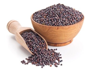 Mustard Seed Health Benefits and Uses: A Healthy Addition to Your Pantry