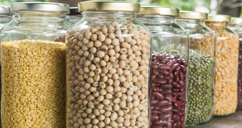 Different Types of Legumes