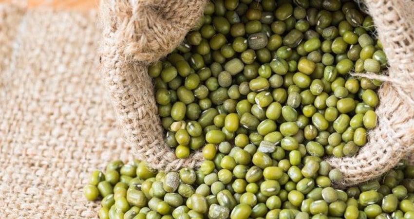 Mung Beans Benefits: Disease Prevention and Treatment