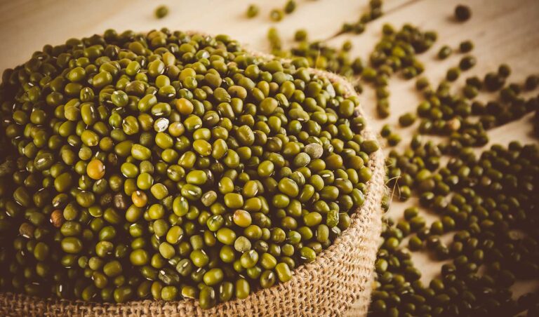 What Are Mung Beans: Benefits, Nutrition Facts, and Recipes – Healthy Blog