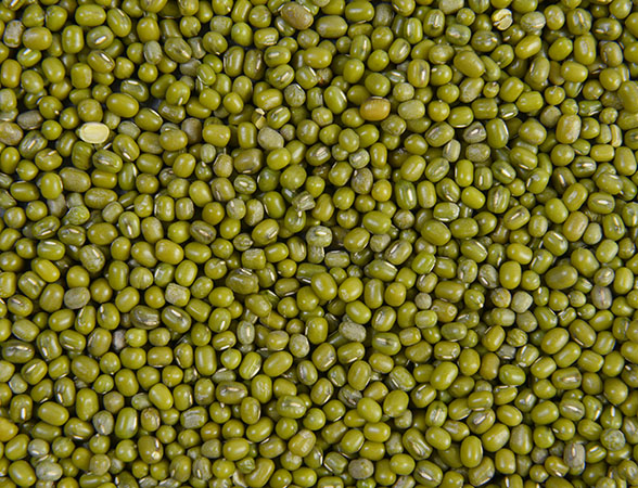 What Are Mung Beans: Benefits, Nutrition Facts, and Recipes