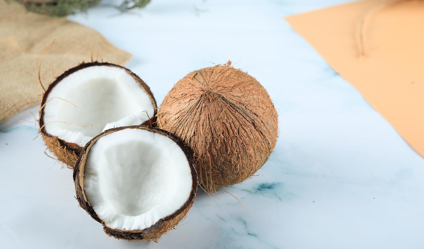 Dried-Coconut-Nutrition-Facts-Health-Benefits-and-Recipes-1