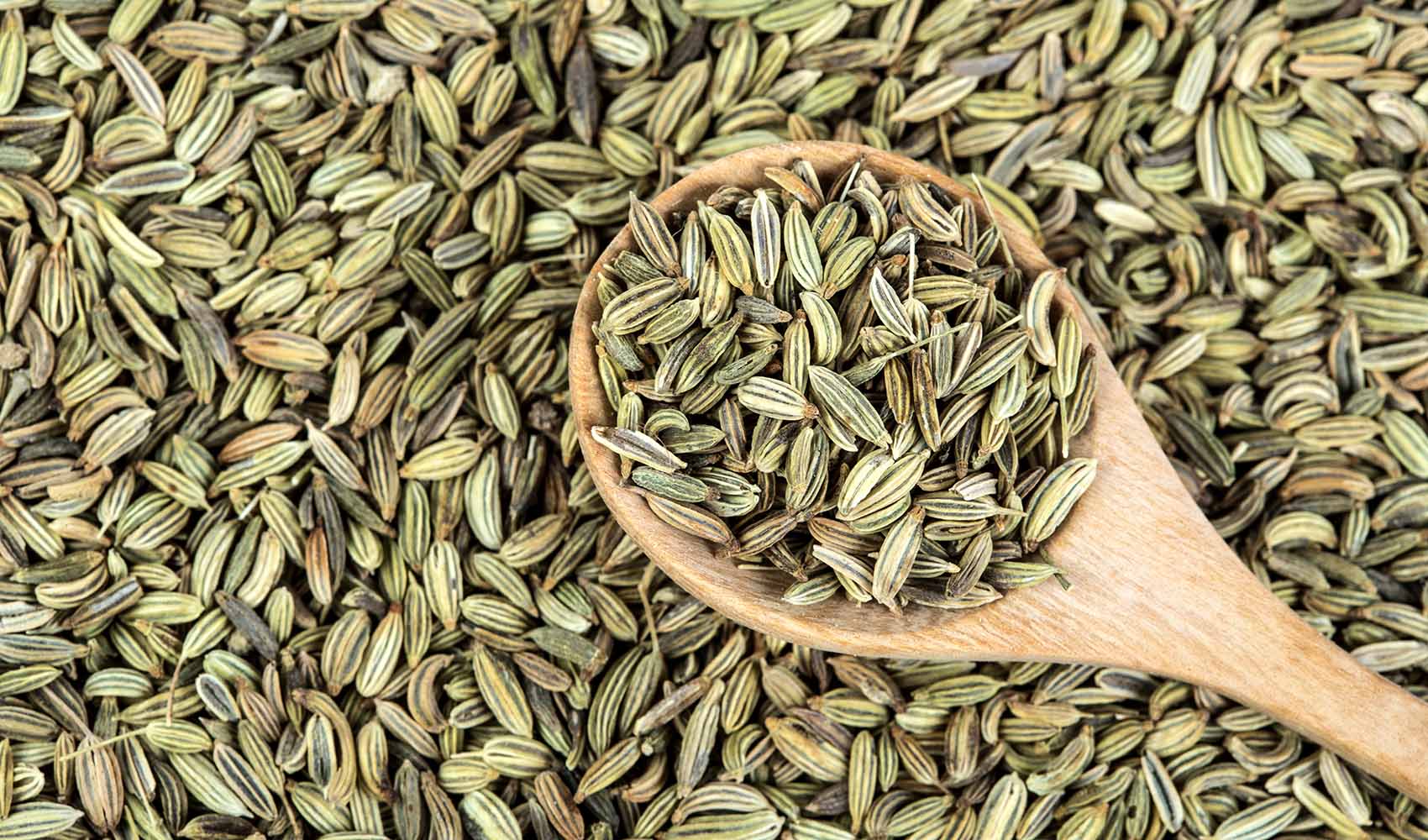 Fennel-Seeds-Benefits-and-Side-Effects-1
