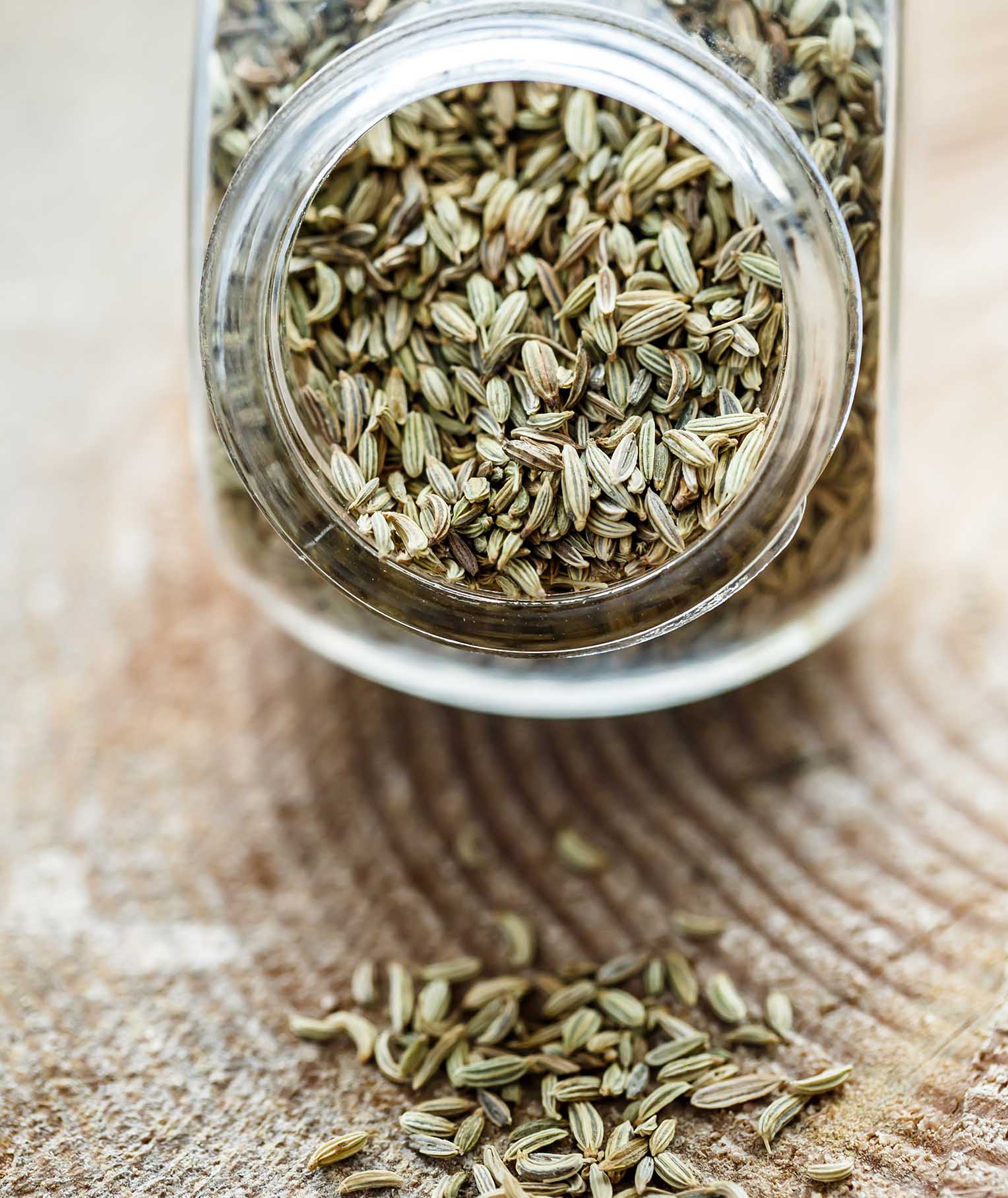 Fennel Seeds Benefits and Side Effects