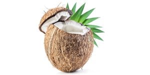 Benefits of Coconut Fruit: Why Should You Eat Coconuts