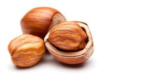 Raw Turkish Hazelnuts, Non-GMO Verified