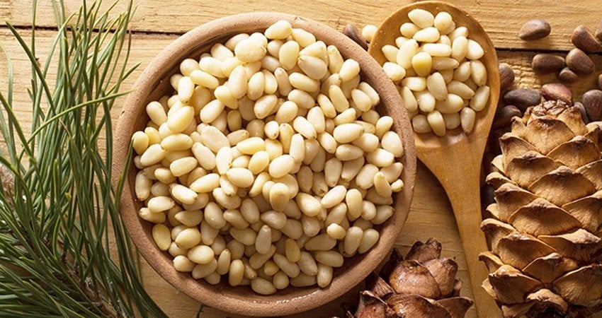 do pine nuts trigger nut allergies