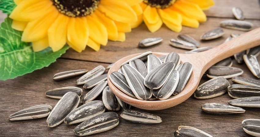 Sunflower Seeds: Are They Good For You - Healthy Blog