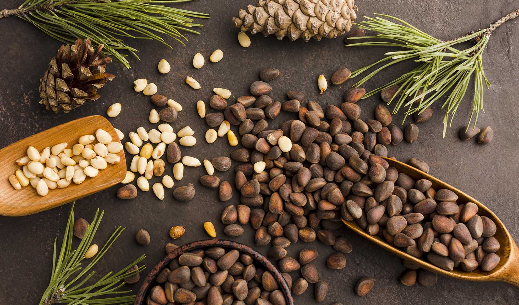 Pine-Nuts-Health-Benefits-Cooking-and-Storage-Tips-3