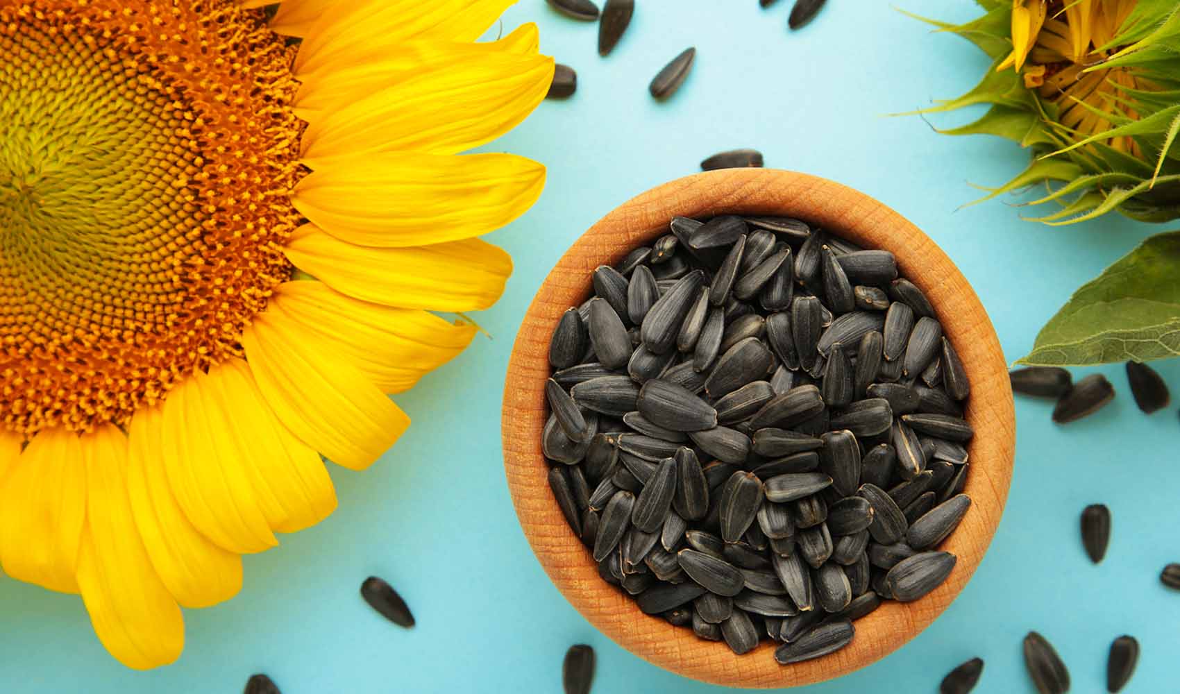 Sunflower-Seeds-Are-They-Good-for-You-1