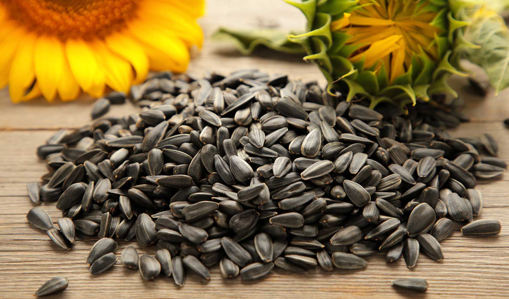 Sunflower-Seeds-Are-They-Good-for-You-5