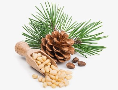Pine Nuts: Health Benefits, Cooking, and Storage Tips