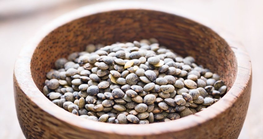 Health Benefits of French Lentils