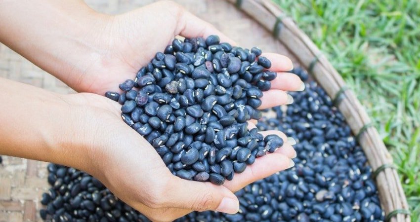 How to Buy and Store Black Beans