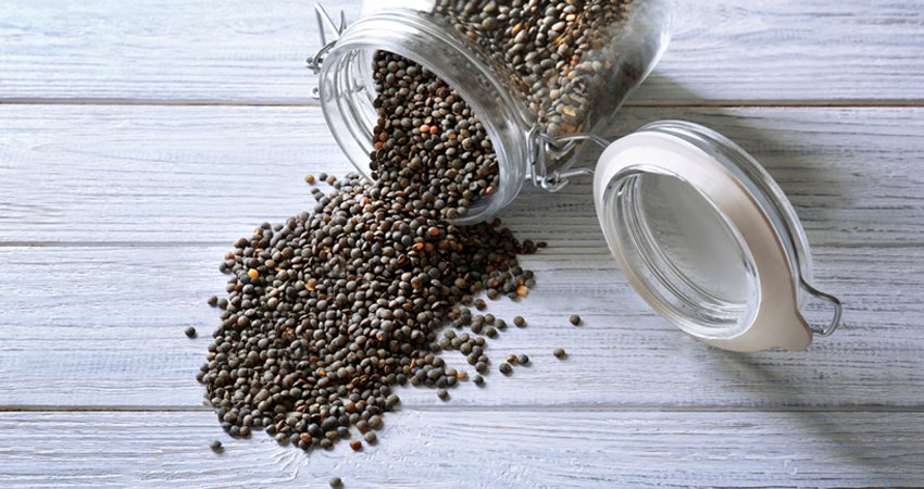 How to Buy and Store French Lentils