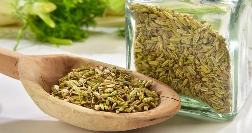 Fennel seeds
