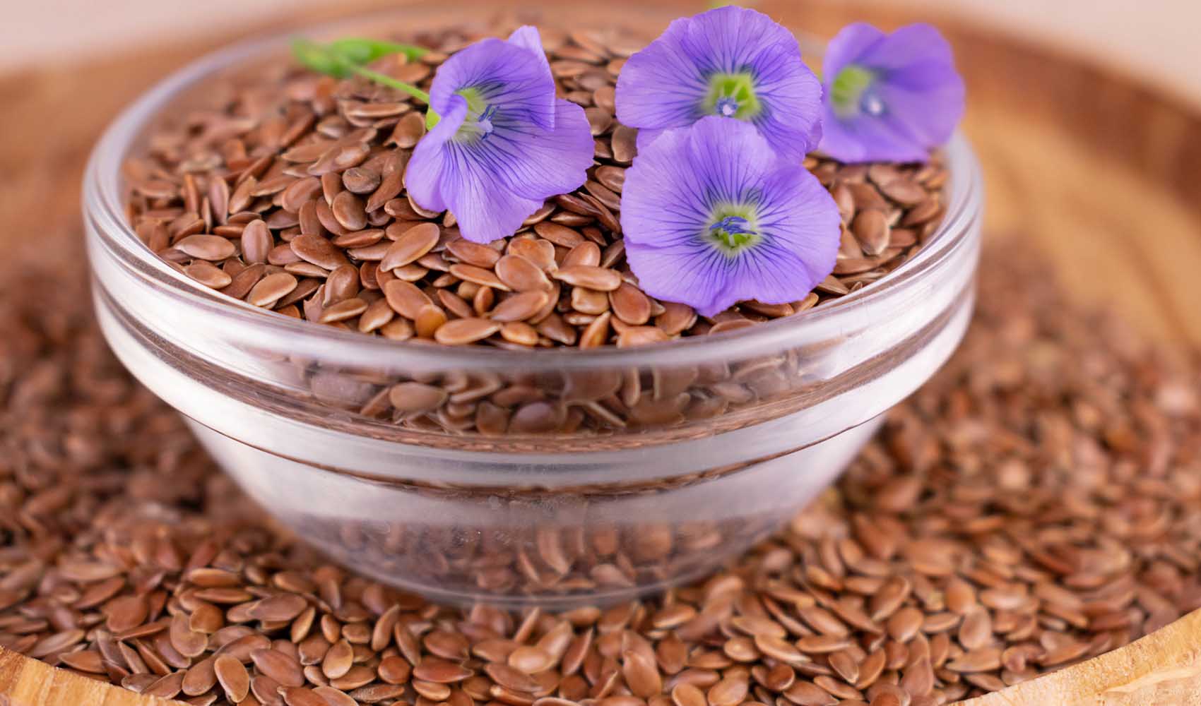 Flax-Seeds-What-Dangerous-Diseases-They-Prevent-and-Cure-2