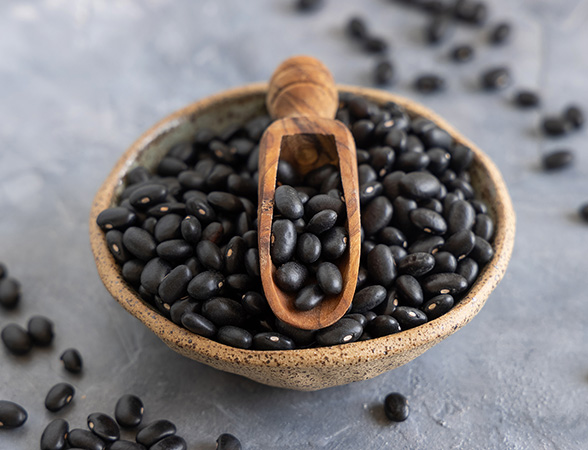 Black Beans: The Blacker the Skin – the Healthier the Bean