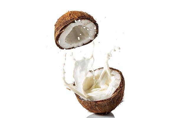 Benefits of Coconut Fruit: Why Should You Eat Coconuts